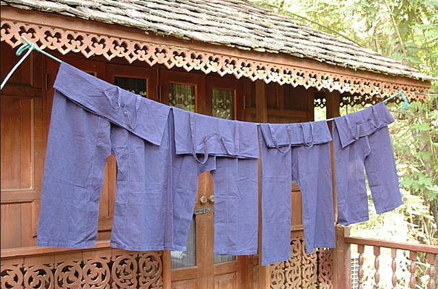 Traveling pants