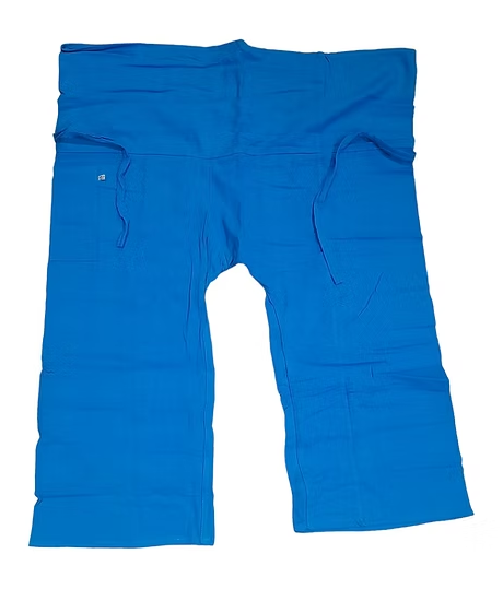 Traveling pants
