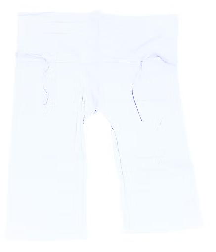Traveling pants