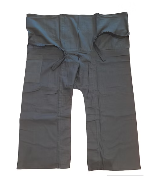 Traveling pants