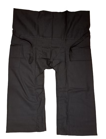 Traveling pants