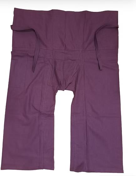 Traveling pants