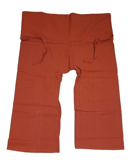 Traveling pants